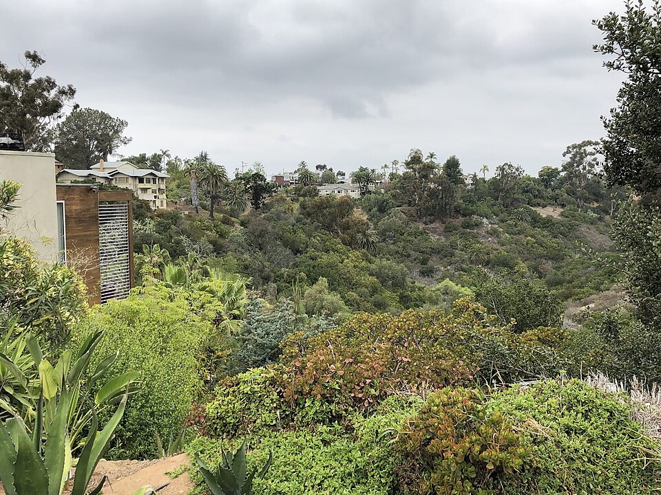 Canyon and homes seen from a Mission Hills residential street